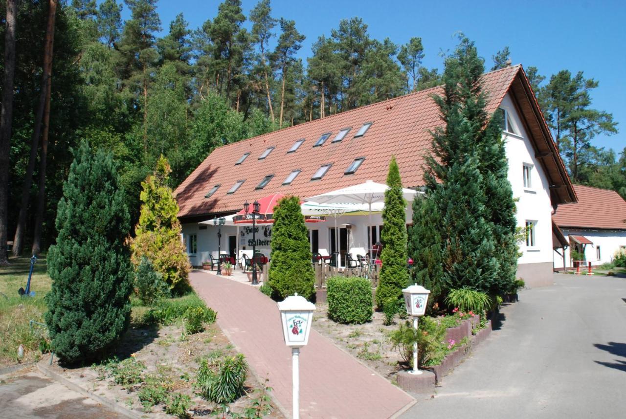 מלון Petersdorf  Haus Waldesruh מראה חיצוני תמונה